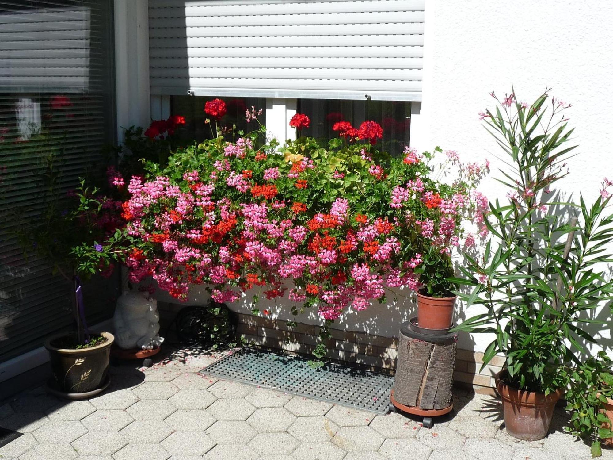Graceful Apartment In Velmede With Garden Bestwig Exterior photo